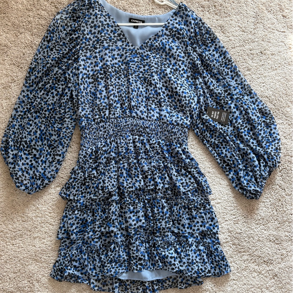 Express Leopard Print Blue and Black mini dress